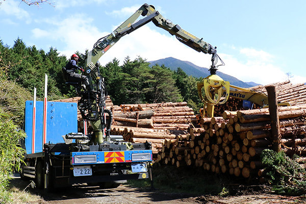 株式会社森林業の木材の運搬のイメージ画像