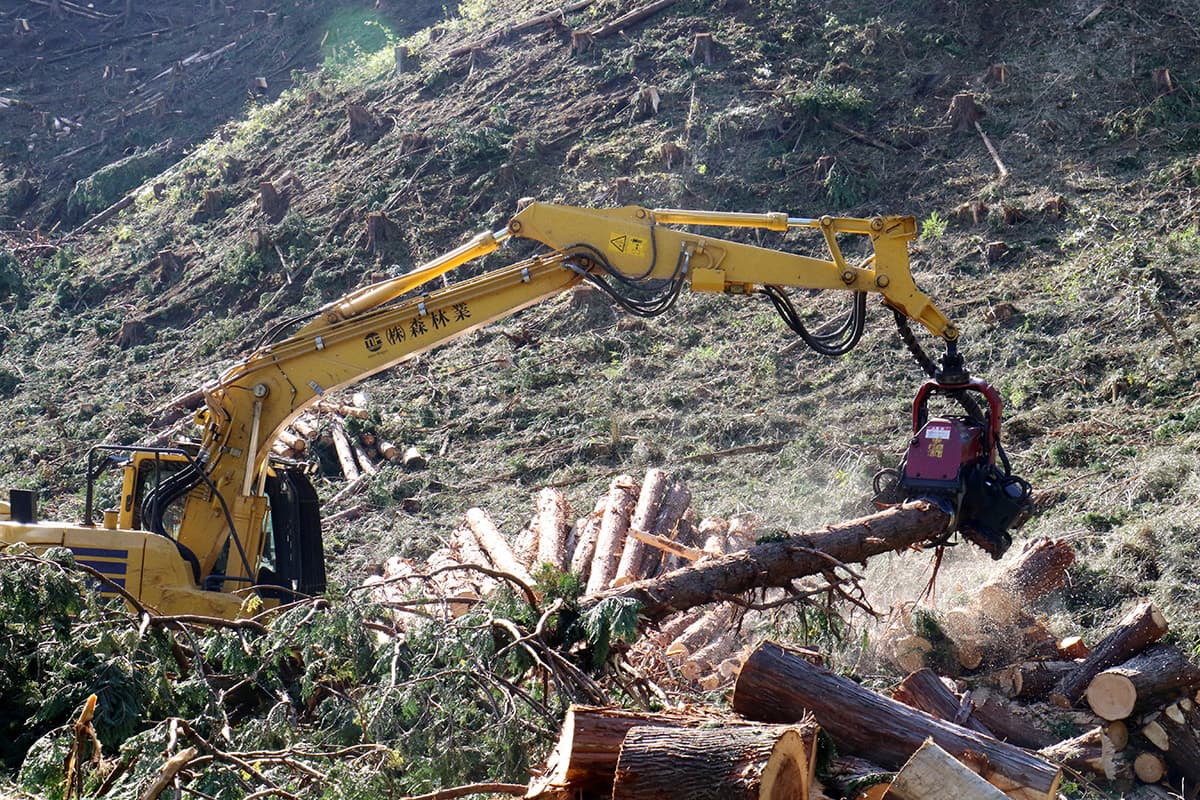 株式会社森林業の森林の伐採のイメージ画像７