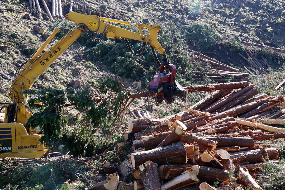 株式会社森林業の森林の伐採のイメージ画像１１