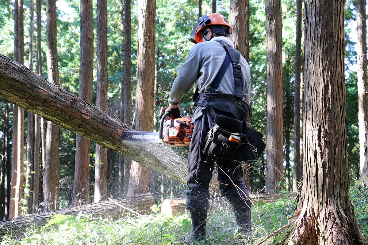 株式会社森林業の丸太の切り出しのイメージ画像１３