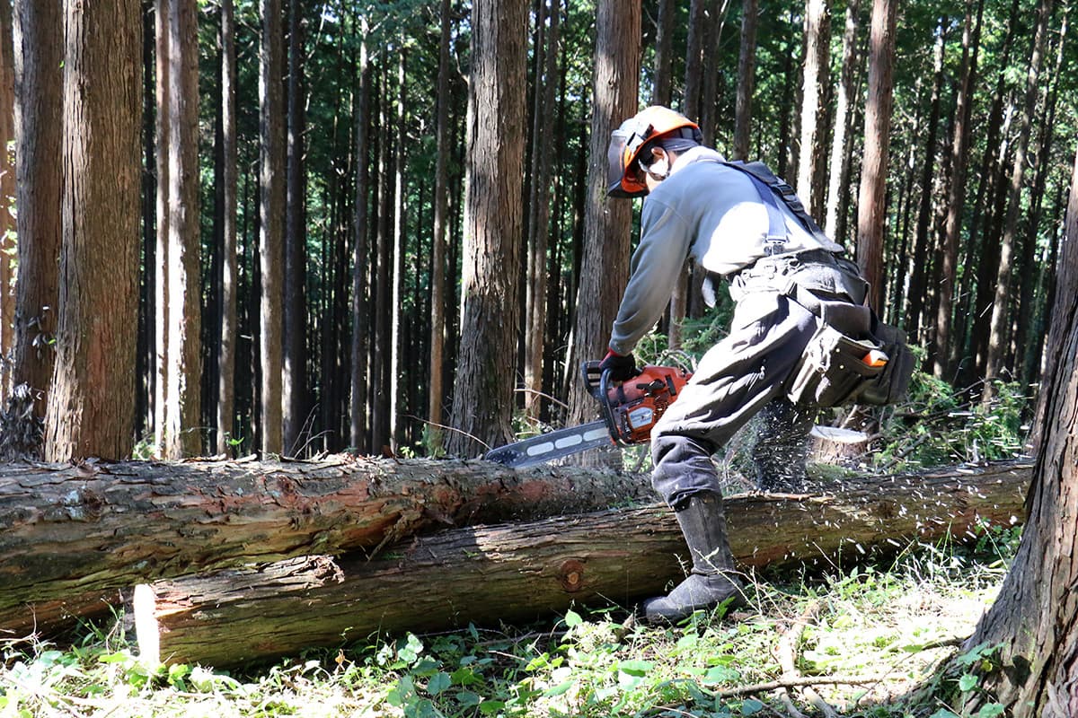 株式会社森林業の丸太の切り出しのイメージ画像１６