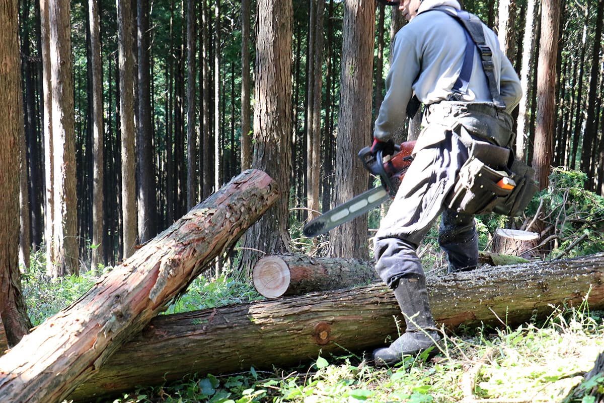 株式会社森林業の丸太の切り出しのイメージ画像１７