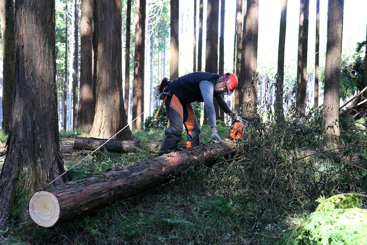 株式会社森林業の丸太の切り出しのイメージ画像１８