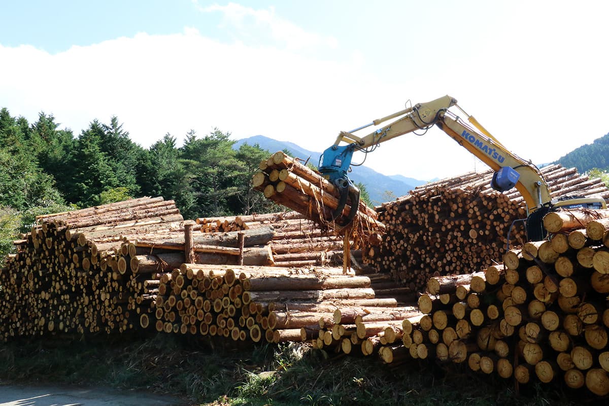 株式会社森林業の木材の運搬のイメージ画像２