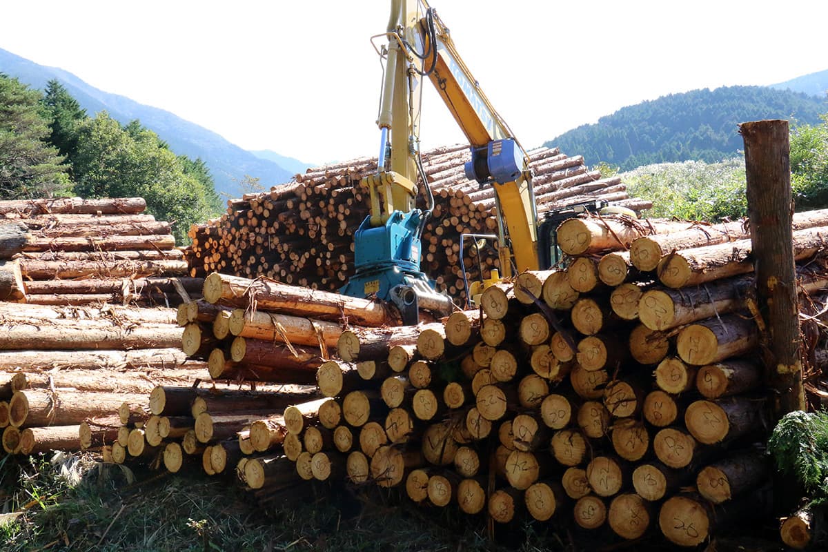 株式会社森林業の木材の運搬のイメージ画像３