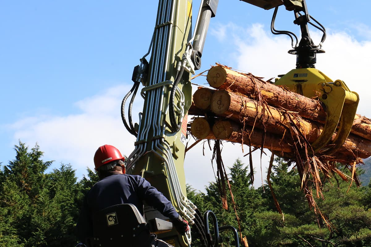 株式会社森林業の木材の運搬のイメージ画像１１