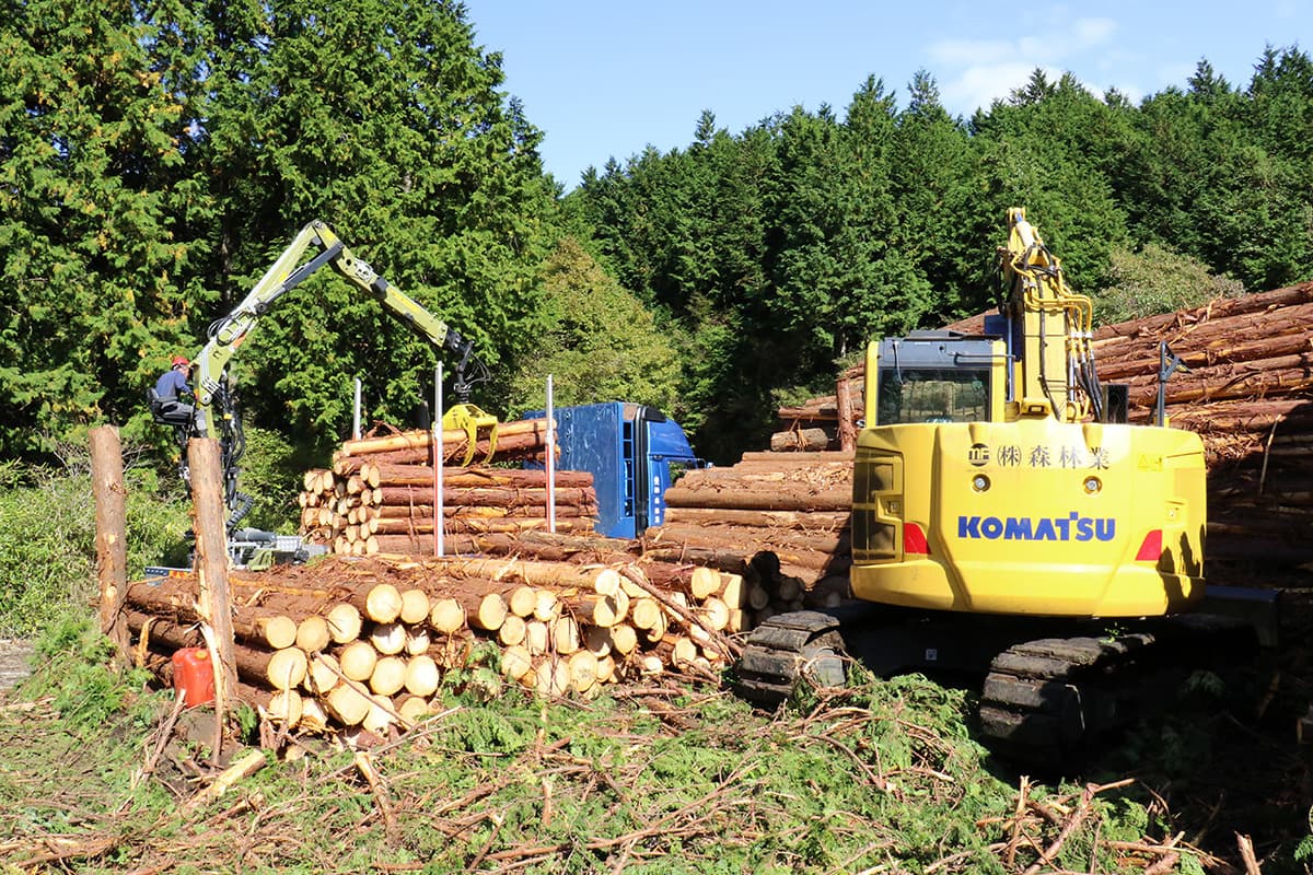 株式会社森林業の木材の運搬のイメージ画像１３