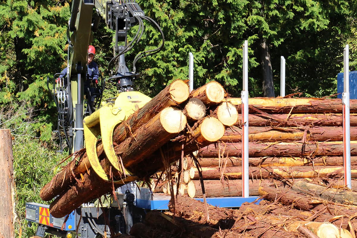 株式会社森林業の木材の運搬のイメージ画像１４