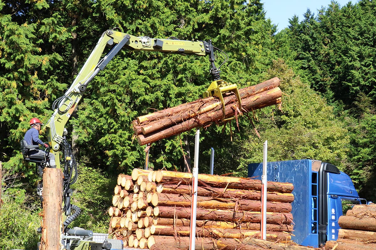 株式会社森林業の木材の運搬のイメージ画像１５