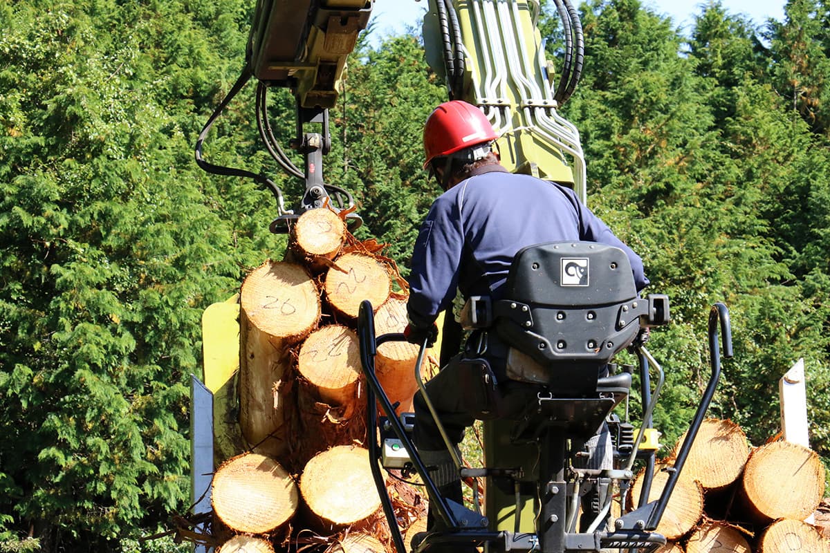 株式会社森林業の木材の運搬のイメージ画像１８