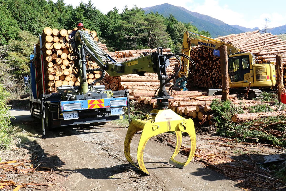 株式会社森林業の木材の運搬のイメージ画像１９